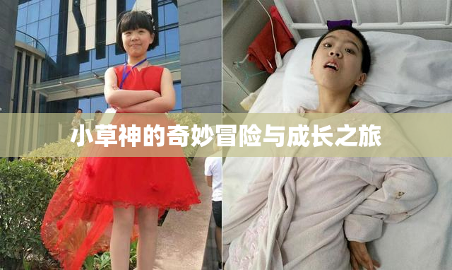 小草神的奇妙冒险与成长之旅