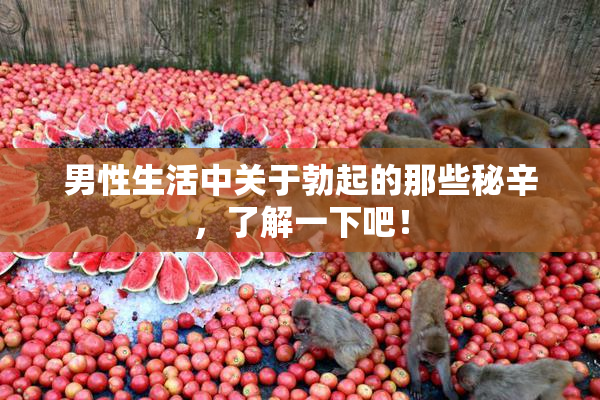 男性生活中关于勃起的那些秘辛，了解一下吧！