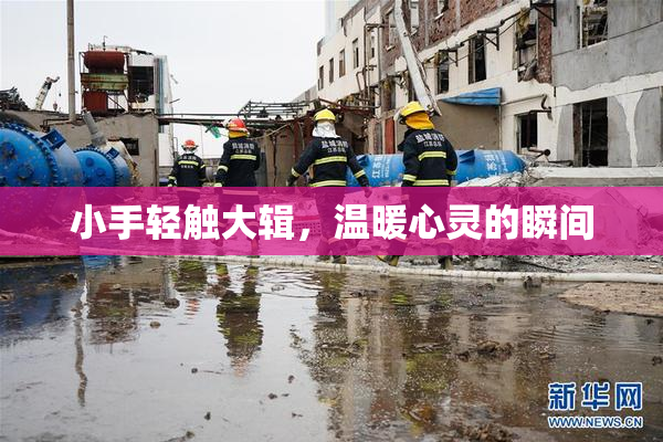 小手轻触大辑，温暖心灵的瞬间