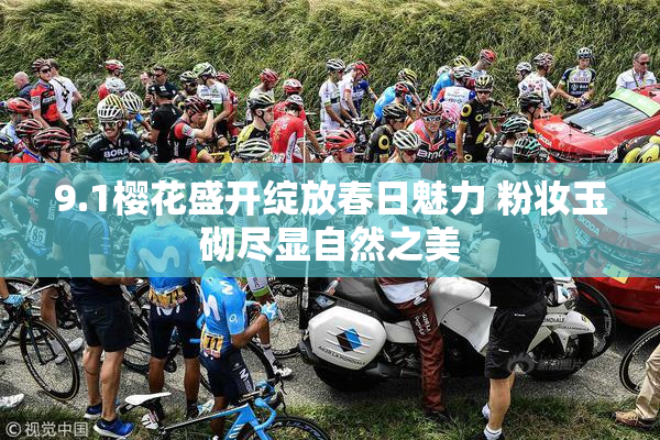 9.1樱花盛开绽放春日魅力 粉妆玉砌尽显自然之美