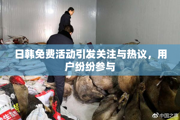 日韩免费活动引发关注与热议，用户纷纷参与