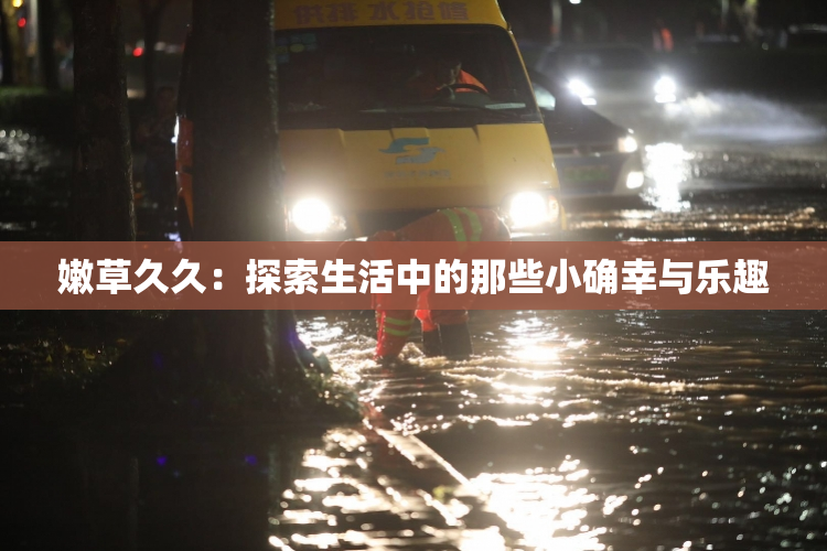 嫩草久久：探索生活中的那些小确幸与乐趣