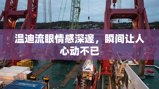 温迪流眼情感深邃，瞬间让人心动不已