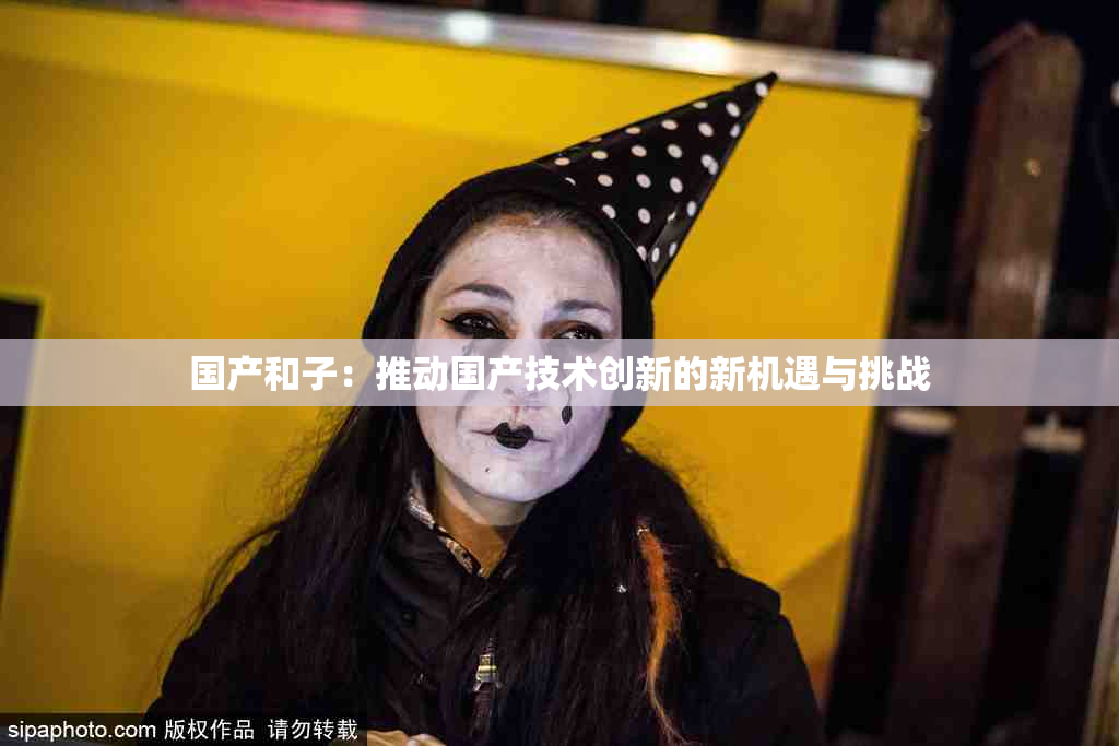 国产和子：推动国产技术创新的新机遇与挑战