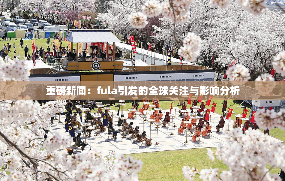 重磅新闻：fula引发的全球关注与影响分析