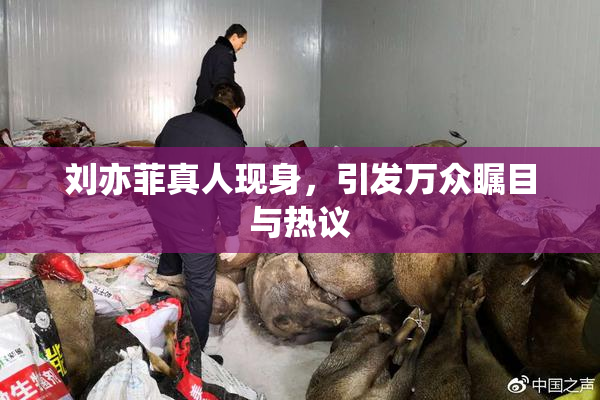 刘亦菲真人现身，引发万众瞩目与热议