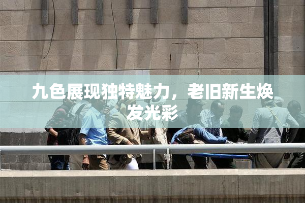 九色展现独特魅力，老旧新生焕发光彩