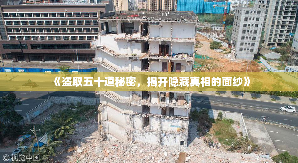 《盗取五十道秘密，揭开隐藏真相的面纱》