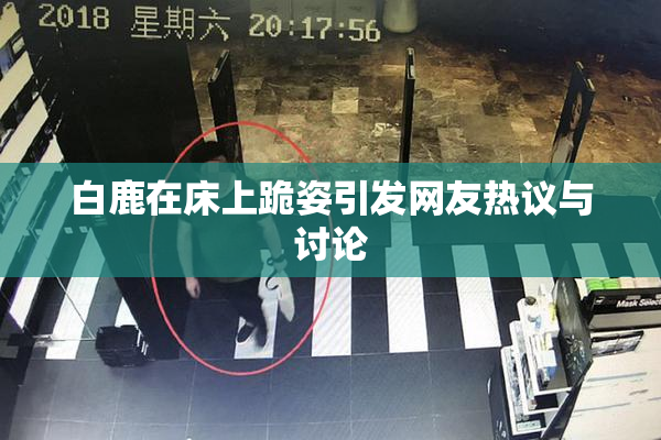白鹿在床上跪姿引发网友热议与讨论