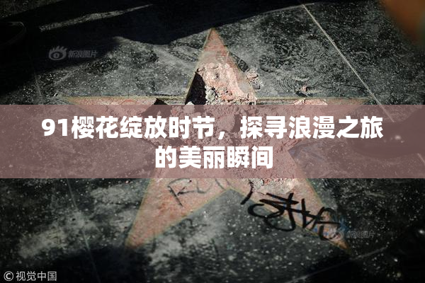 91樱花绽放时节，探寻浪漫之旅的美丽瞬间