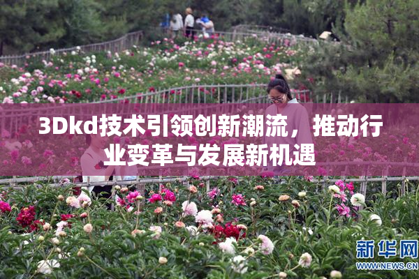 3Dkd技术引领创新潮流，推动行业变革与发展新机遇