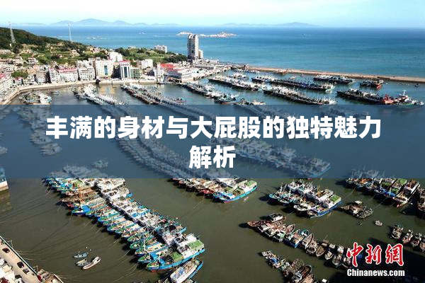 丰满的身材与大屁股的独特魅力解析