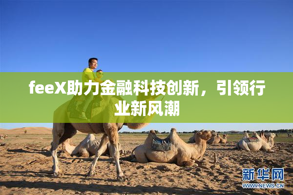 feeX助力金融科技创新，引领行业新风潮