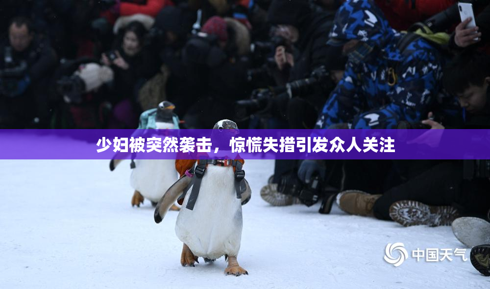 少妇被突然袭击，惊慌失措引发众人关注