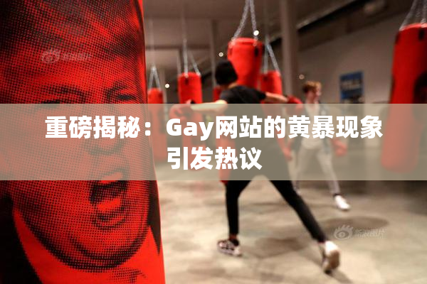 重磅揭秘：Gay网站的黄暴现象引发热议