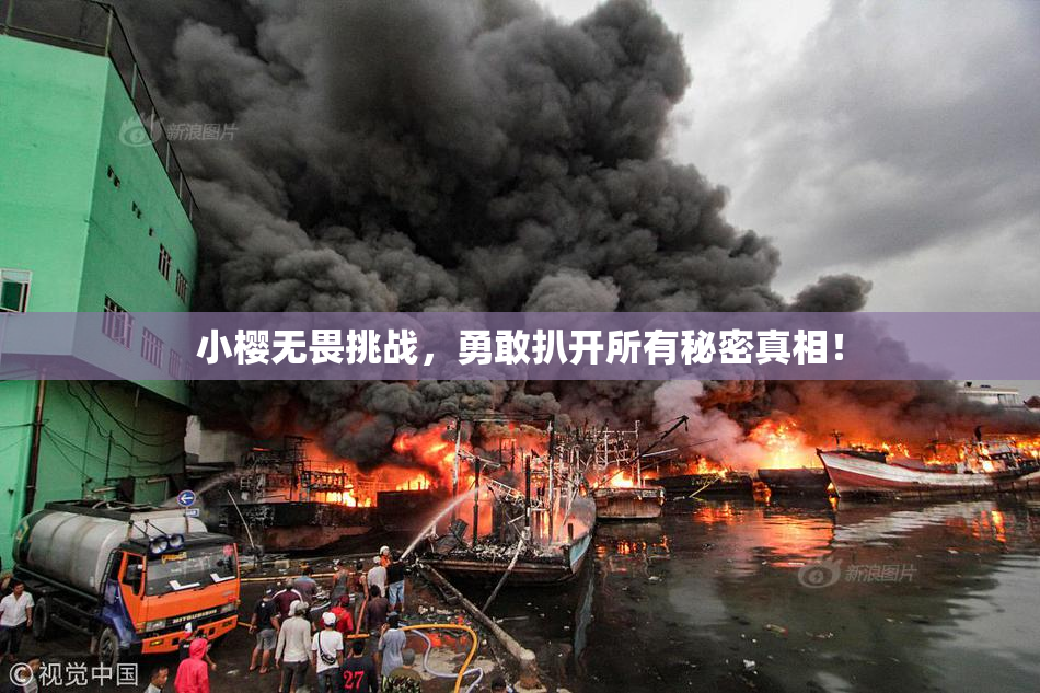 小樱无畏挑战，勇敢扒开所有秘密真相！