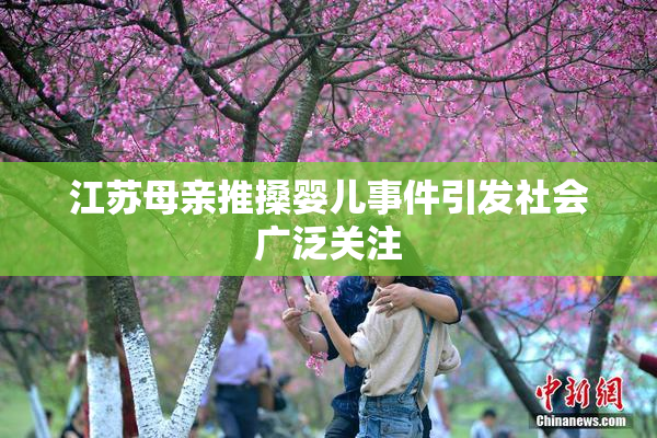 江苏母亲推搡婴儿事件引发社会广泛关注