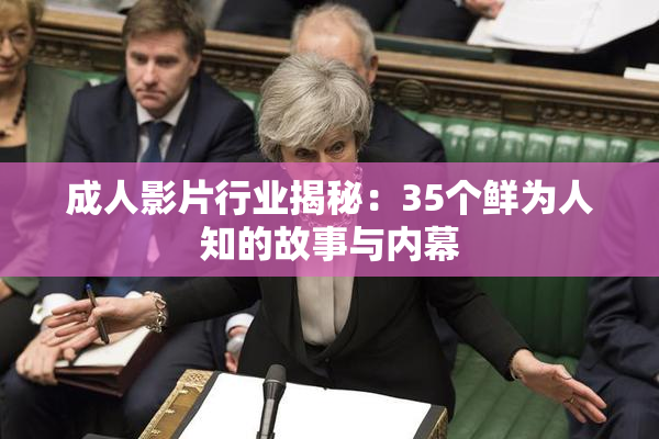 成人影片行业揭秘：35个鲜为人知的故事与内幕