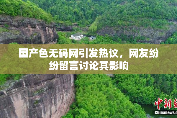 国产色无码网引发热议，网友纷纷留言讨论其影响