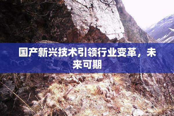国产新兴技术引领行业变革，未来可期