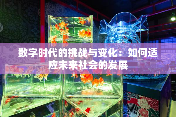 数字时代的挑战与变化：如何适应未来社会的发展