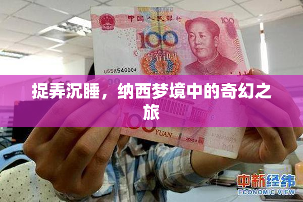 捉弄沉睡，纳西梦境中的奇幻之旅