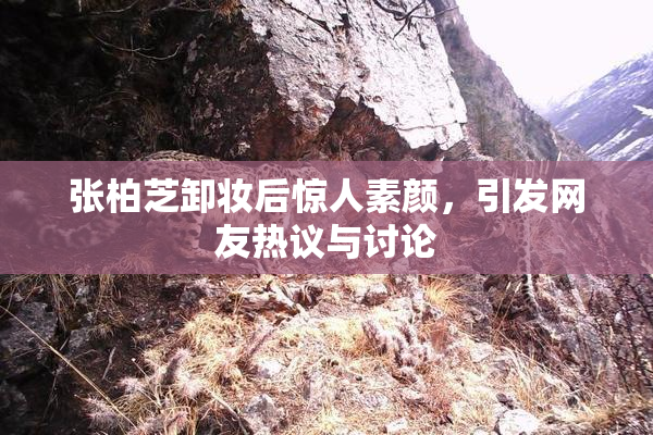 张柏芝卸妆后惊人素颜，引发网友热议与讨论