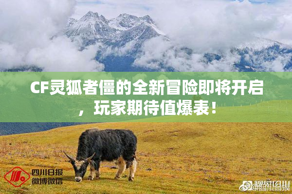 CF灵狐者僵的全新冒险即将开启，玩家期待值爆表！