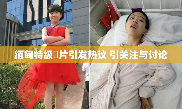 缅甸特级婬片引发热议 引关注与讨论