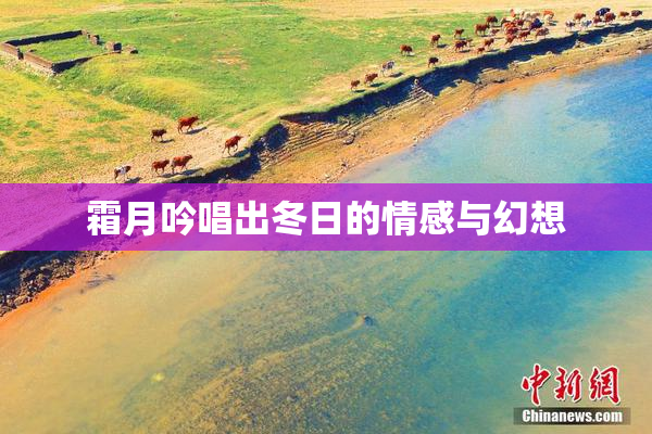 霜月吟唱出冬日的情感与幻想