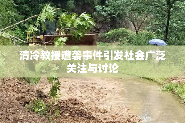 清冷教授遭袭事件引发社会广泛关注与讨论