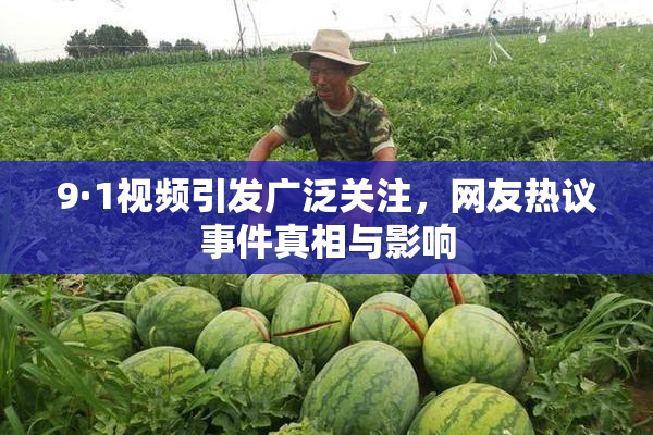 9·1视频引发广泛关注，网友热议事件真相与影响