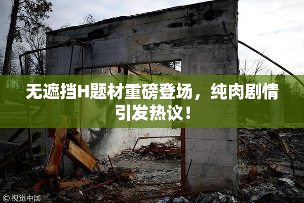 无遮挡H题材重磅登场，纯肉剧情引发热议！