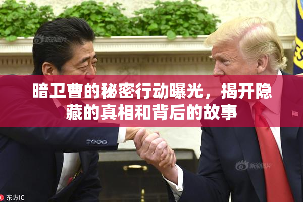 暗卫曹的秘密行动曝光，揭开隐藏的真相和背后的故事
