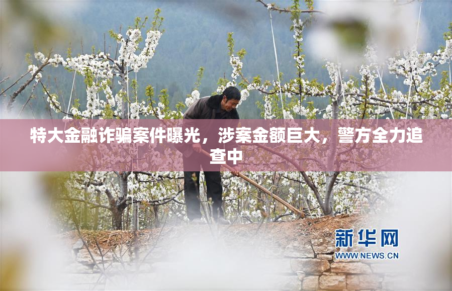 特大金融诈骗案件曝光，涉案金额巨大，警方全力追查中