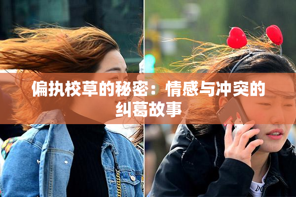 偏执校草的秘密：情感与冲突的纠葛故事
