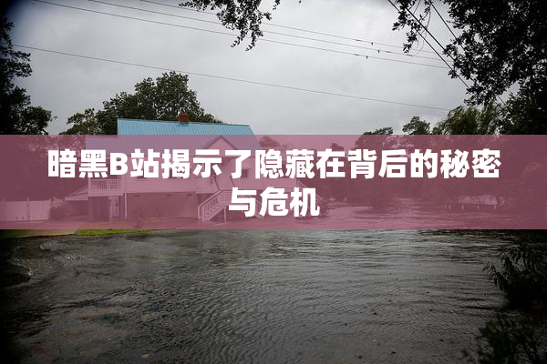 暗黑B站揭示了隐藏在背后的秘密与危机