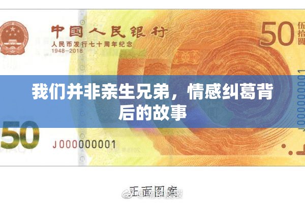 我们并非亲生兄弟，情感纠葛背后的故事