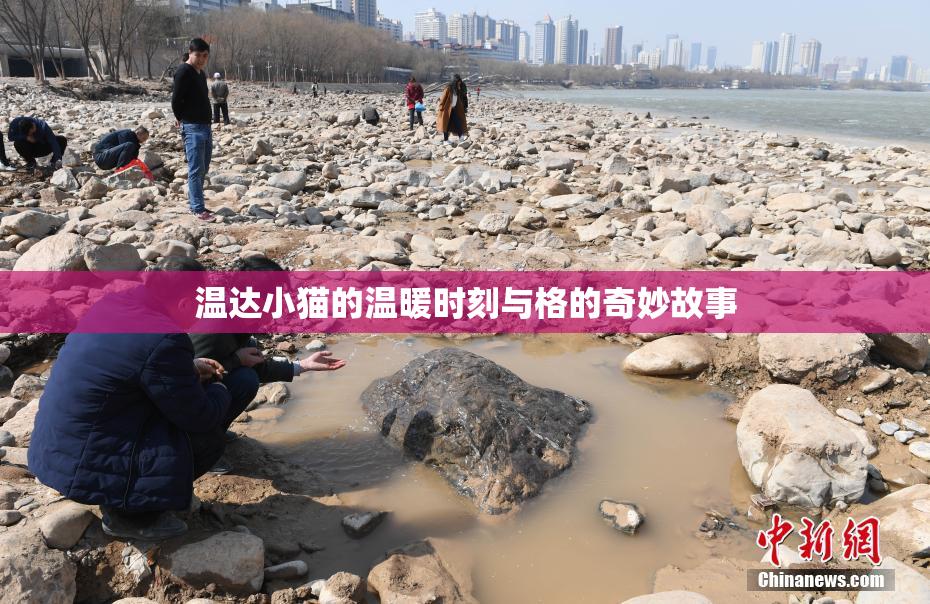 温达小猫的温暖时刻与格的奇妙故事