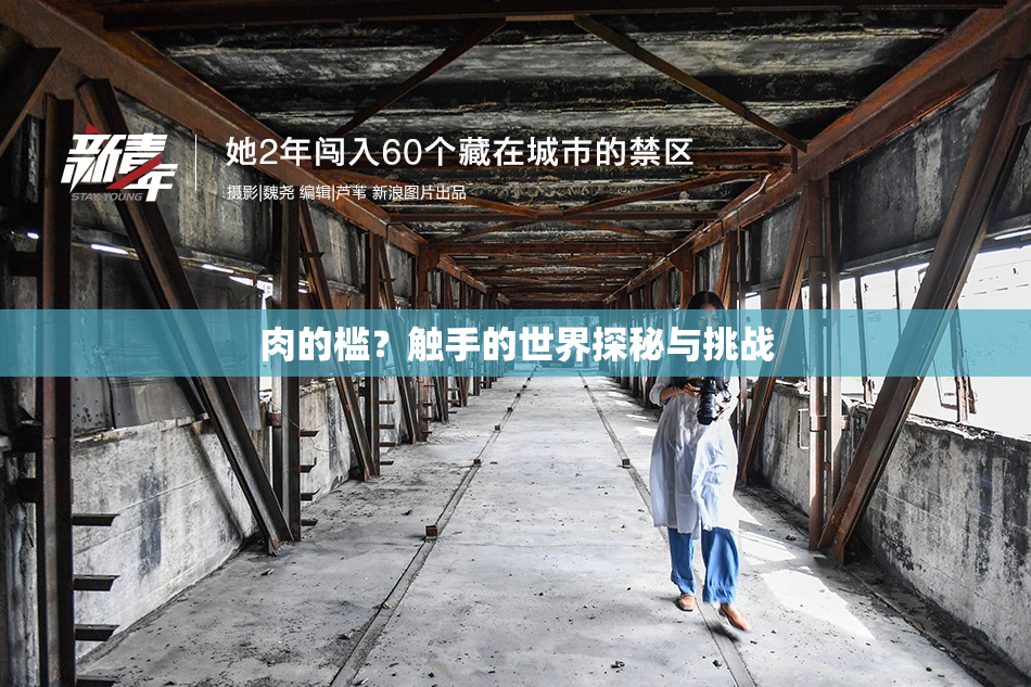肉的槛？触手的世界探秘与挑战
