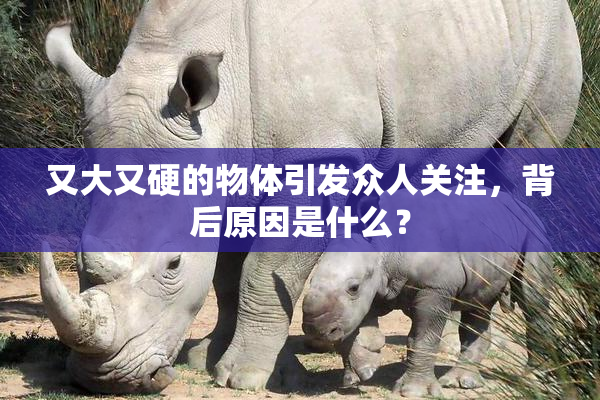又大又硬的物体引发众人关注，背后原因是什么？