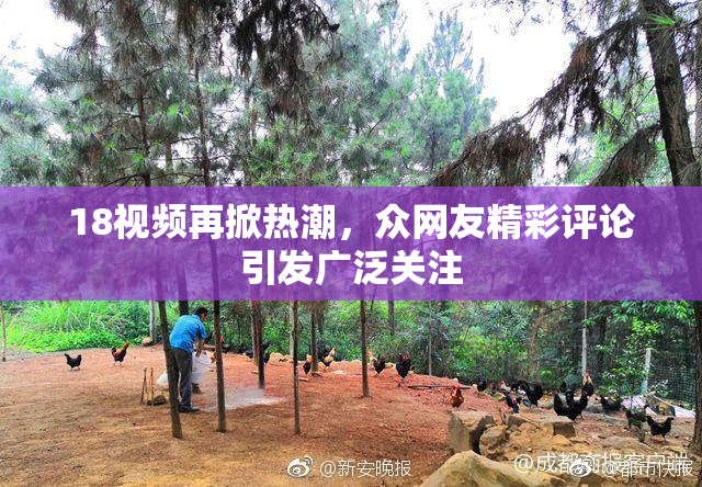 18视频再掀热潮，众网友精彩评论引发广泛关注