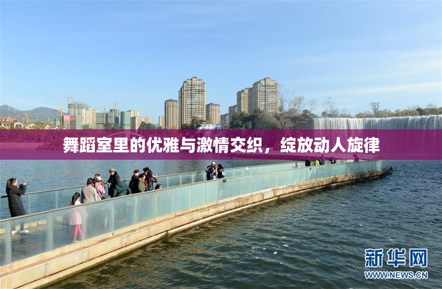 舞蹈室里的优雅与激情交织，绽放动人旋律