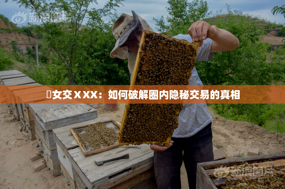 乣女交ⅩXX：如何破解圈内隐秘交易的真相