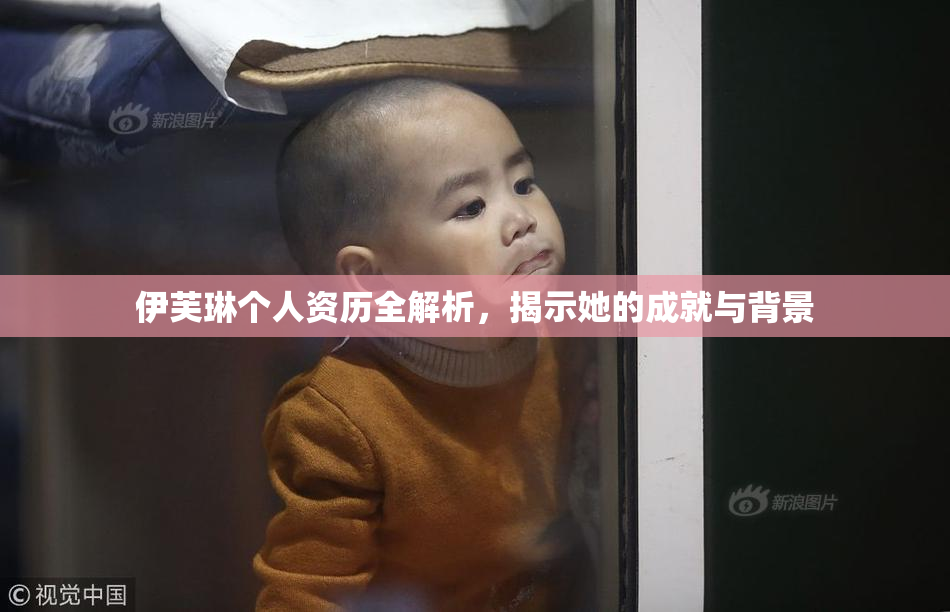 伊芙琳个人资历全解析，揭示她的成就与背景
