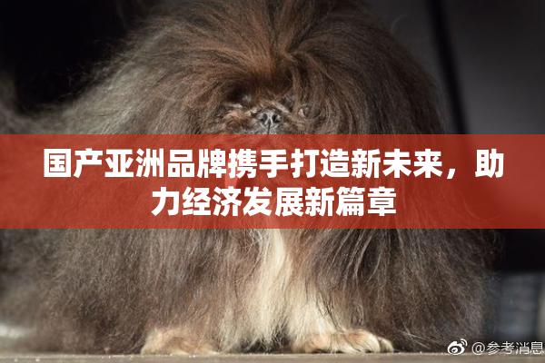 国产亚洲品牌携手打造新未来，助力经济发展新篇章