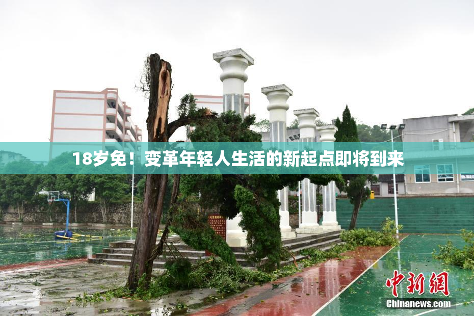 18岁免！变革年轻人生活的新起点即将到来