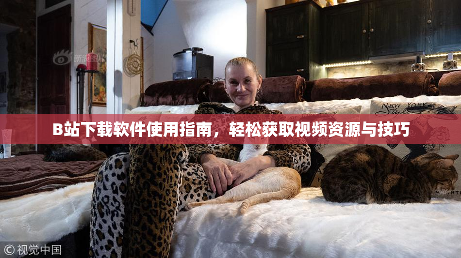B站下载软件使用指南，轻松获取视频资源与技巧
