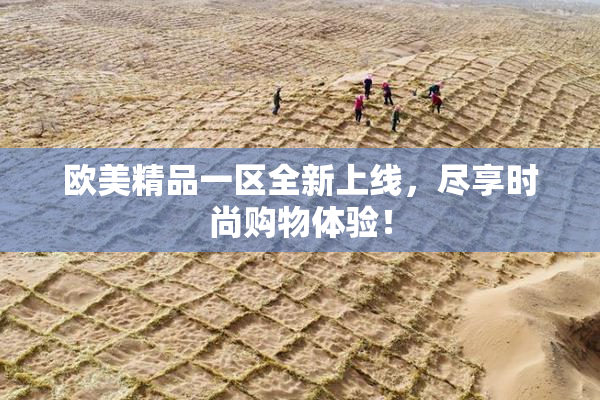 欧美精品一区全新上线，尽享时尚购物体验！