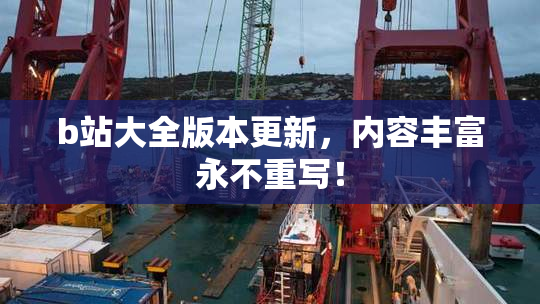b站大全版本更新，内容丰富永不重写！